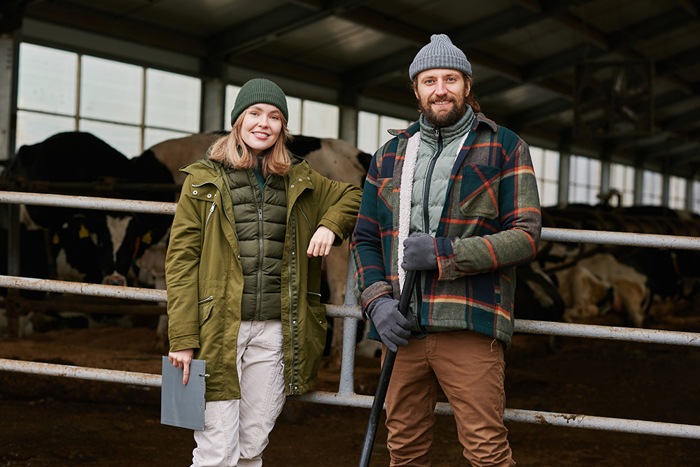 Farmers working on dairy farm
